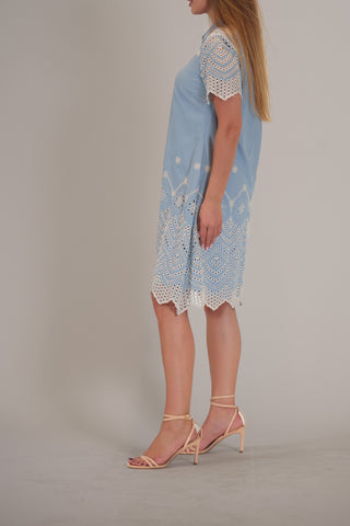 #BLUE_IVORY