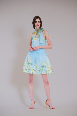 SHORT DROP WAIST COCKTAIL DRESS W NECK TIE